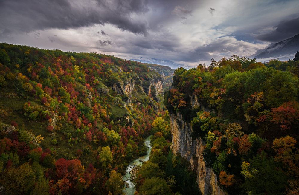 Photograph by Denis Cristian BURMELEAC
