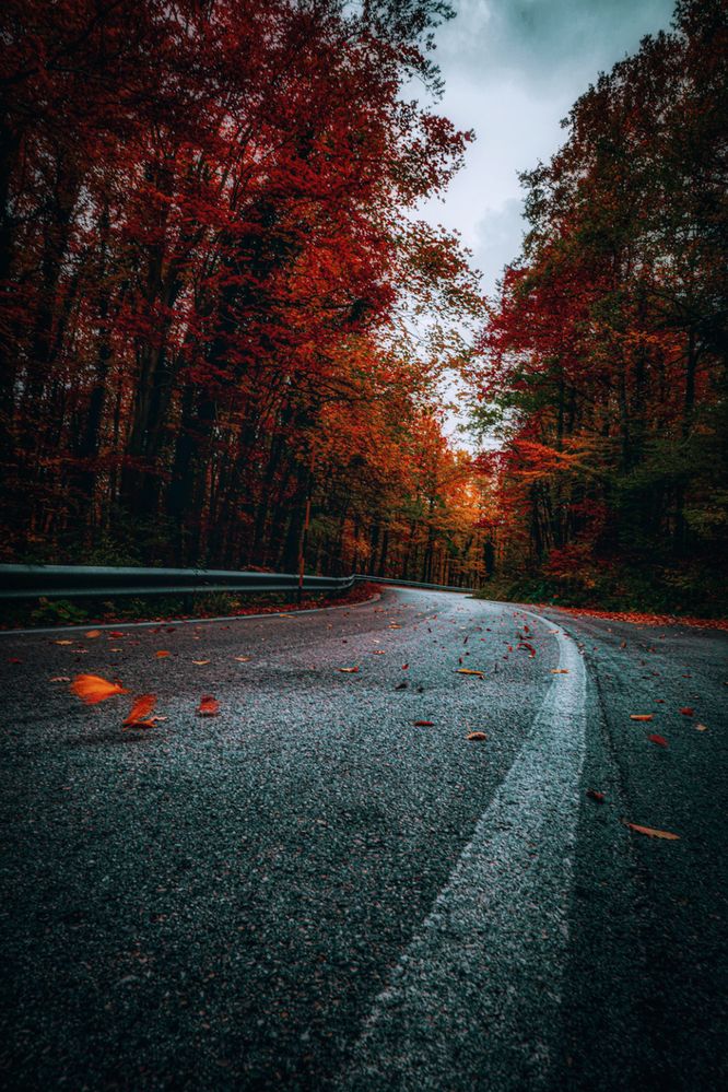 Photograph by Denis Cristian BURMELEAC