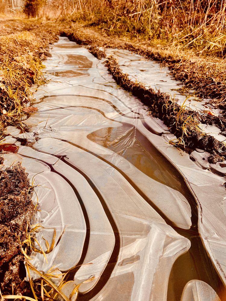 Photograph by Ирина Рыжова