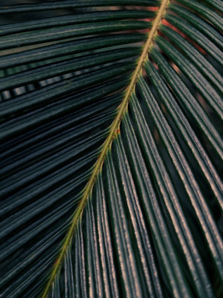 Photograph by Валерия Романова