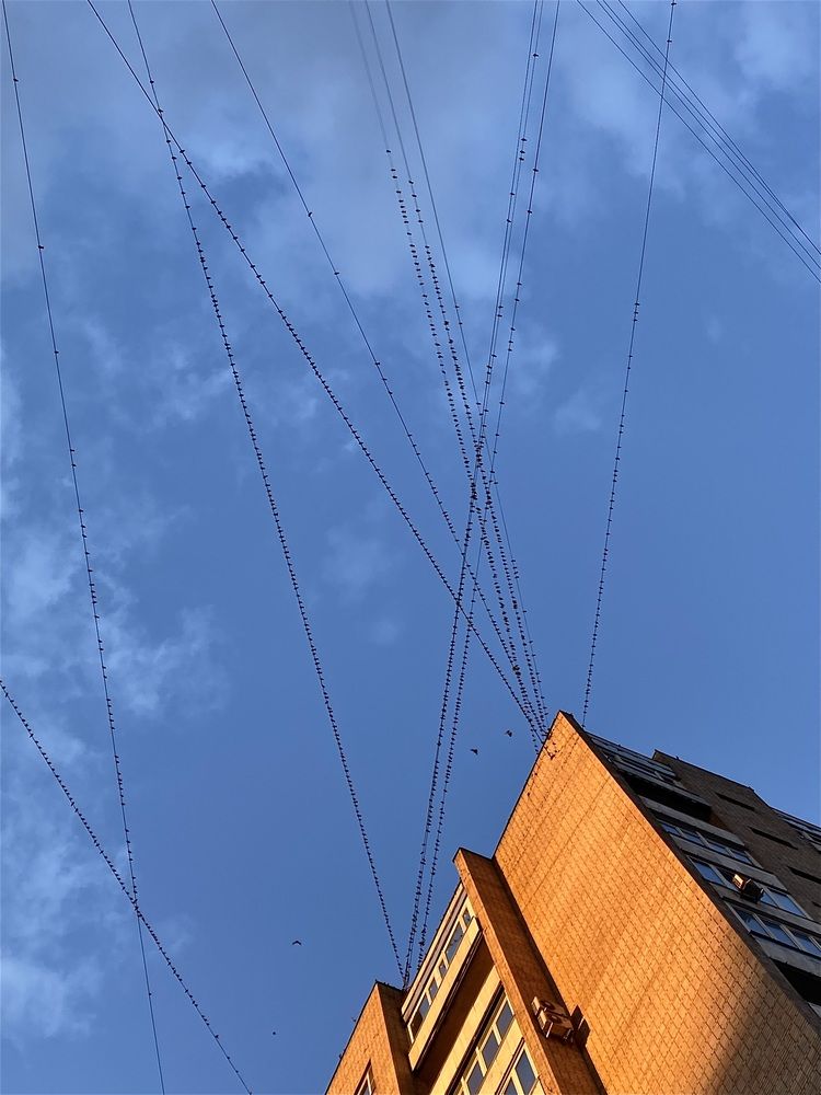 Photograph by Елизавета Корнилова