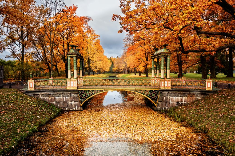 Photograph by Дьяченко Алёна