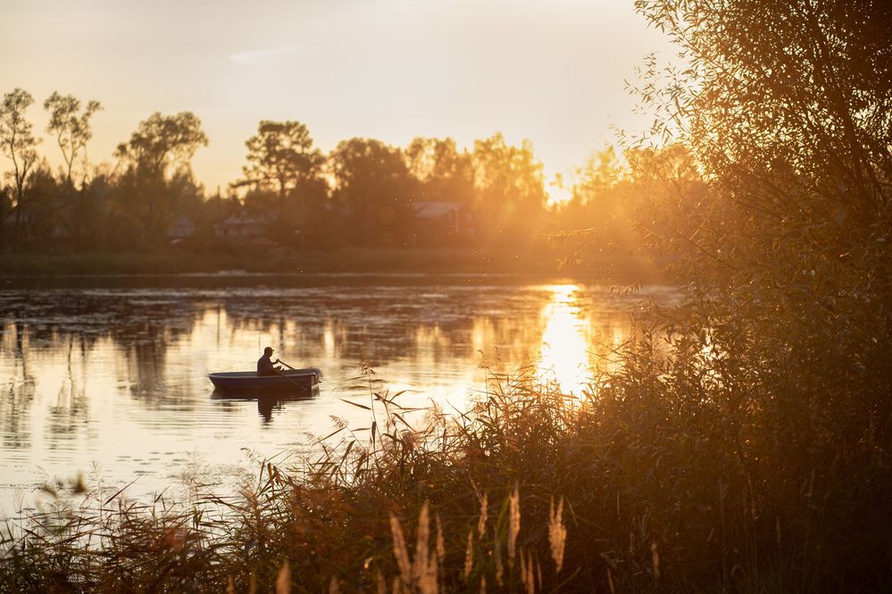 Photograph by Алена Самсонова