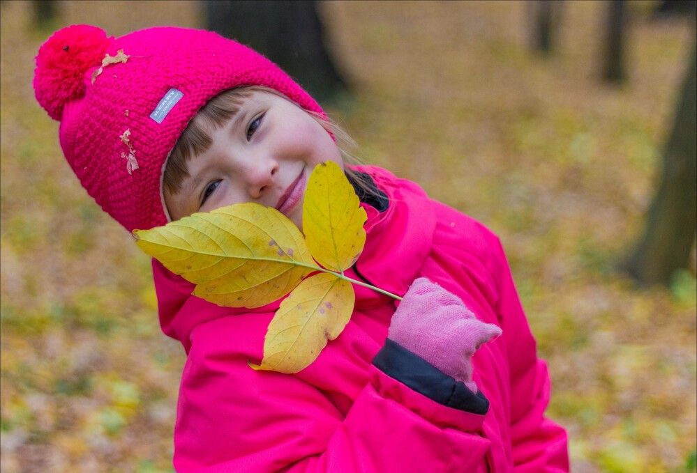 Фотография автора Михаил Наволокин