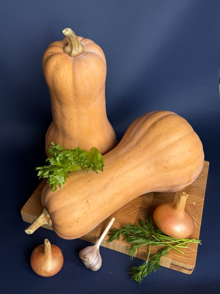 Фотография автора Галина Сан