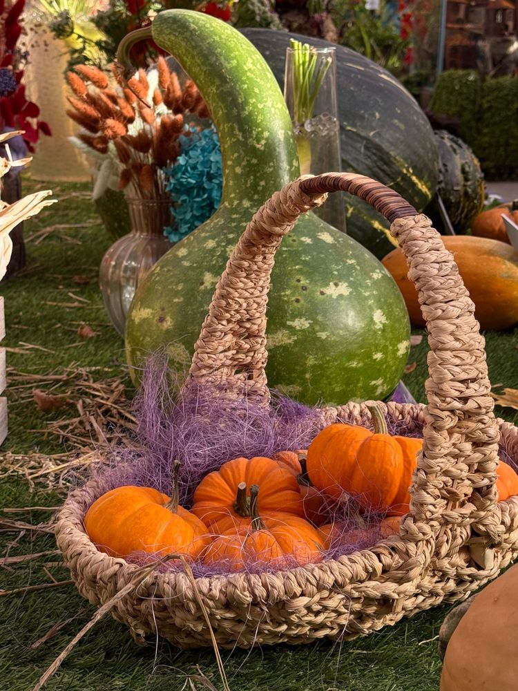 Фотография автора Галина Сан