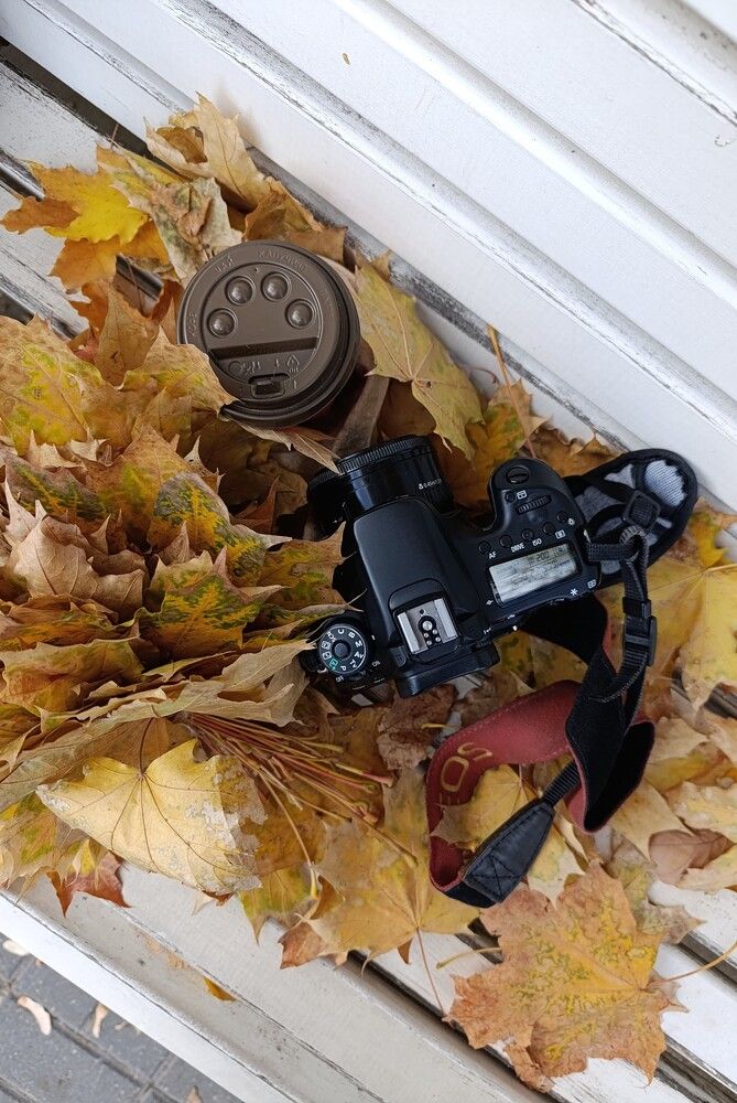 Photograph by Надежда Виденина