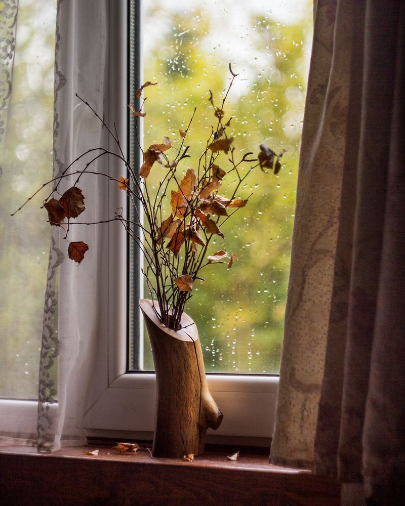 Фотография автора Борис Журавлёв