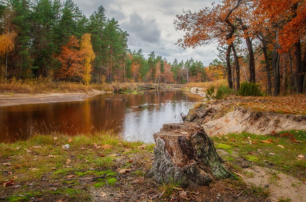 Photograph by Дмитрий Черепков