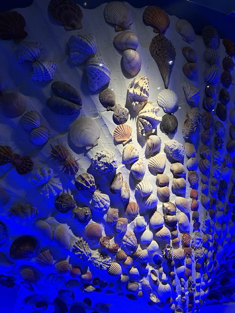 Photograph by Юлия Гурова