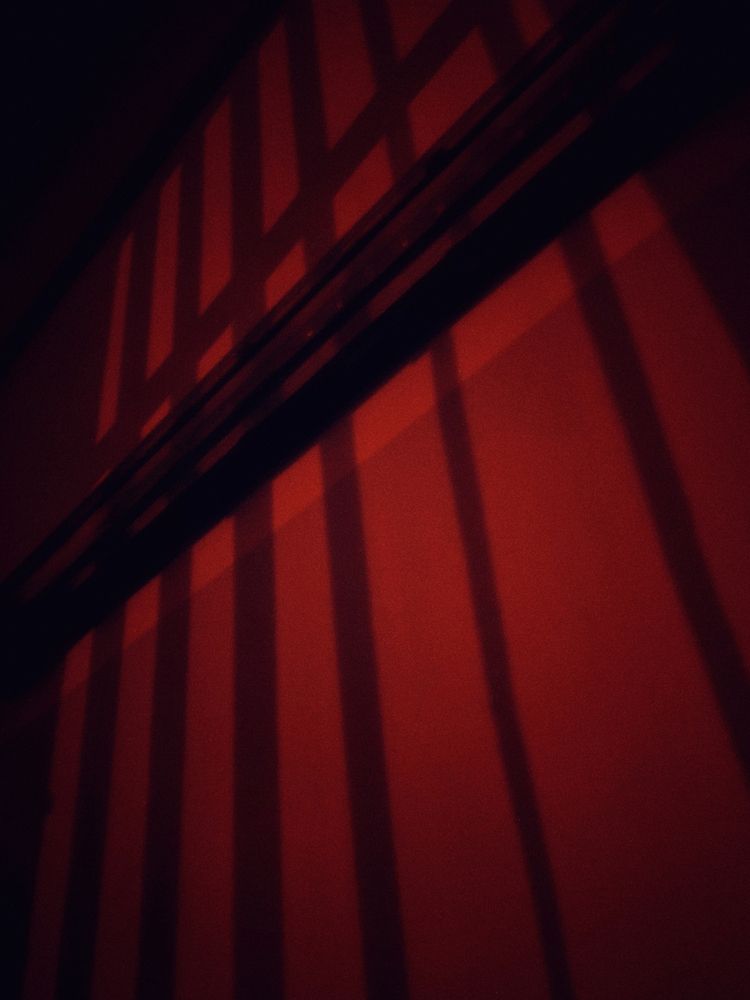 Photograph by Галина Махонь