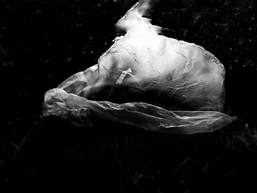 Photograph by Zeljko Grganic