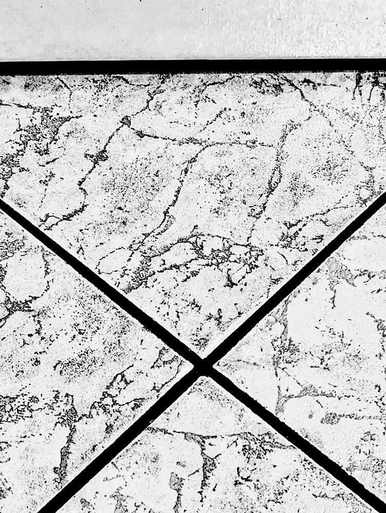 Photograph by Zeljko Grganic