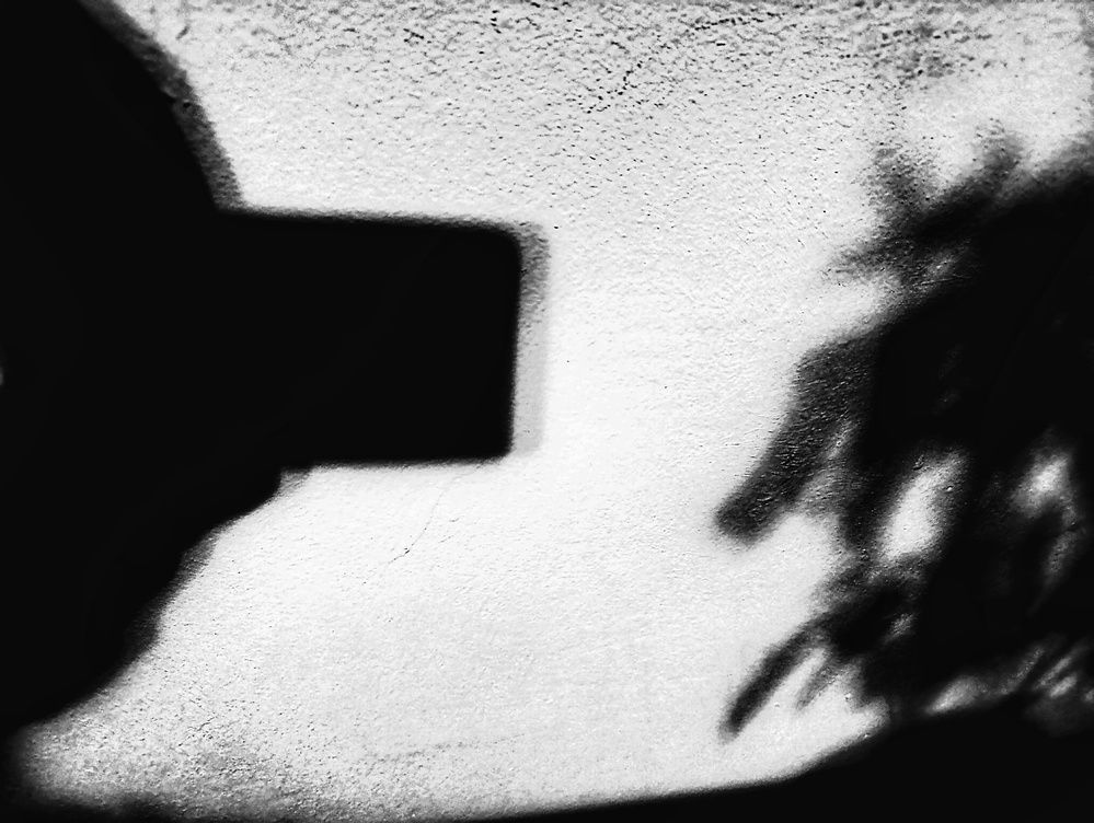 Photograph by Zeljko Grganic