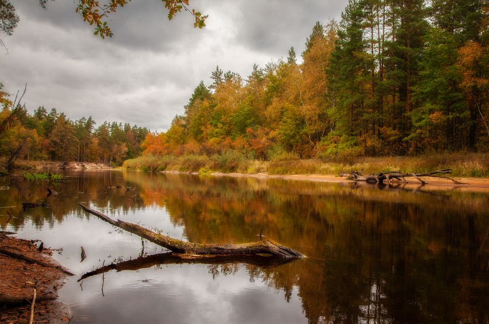 Photograph by Дмитрий Черепков