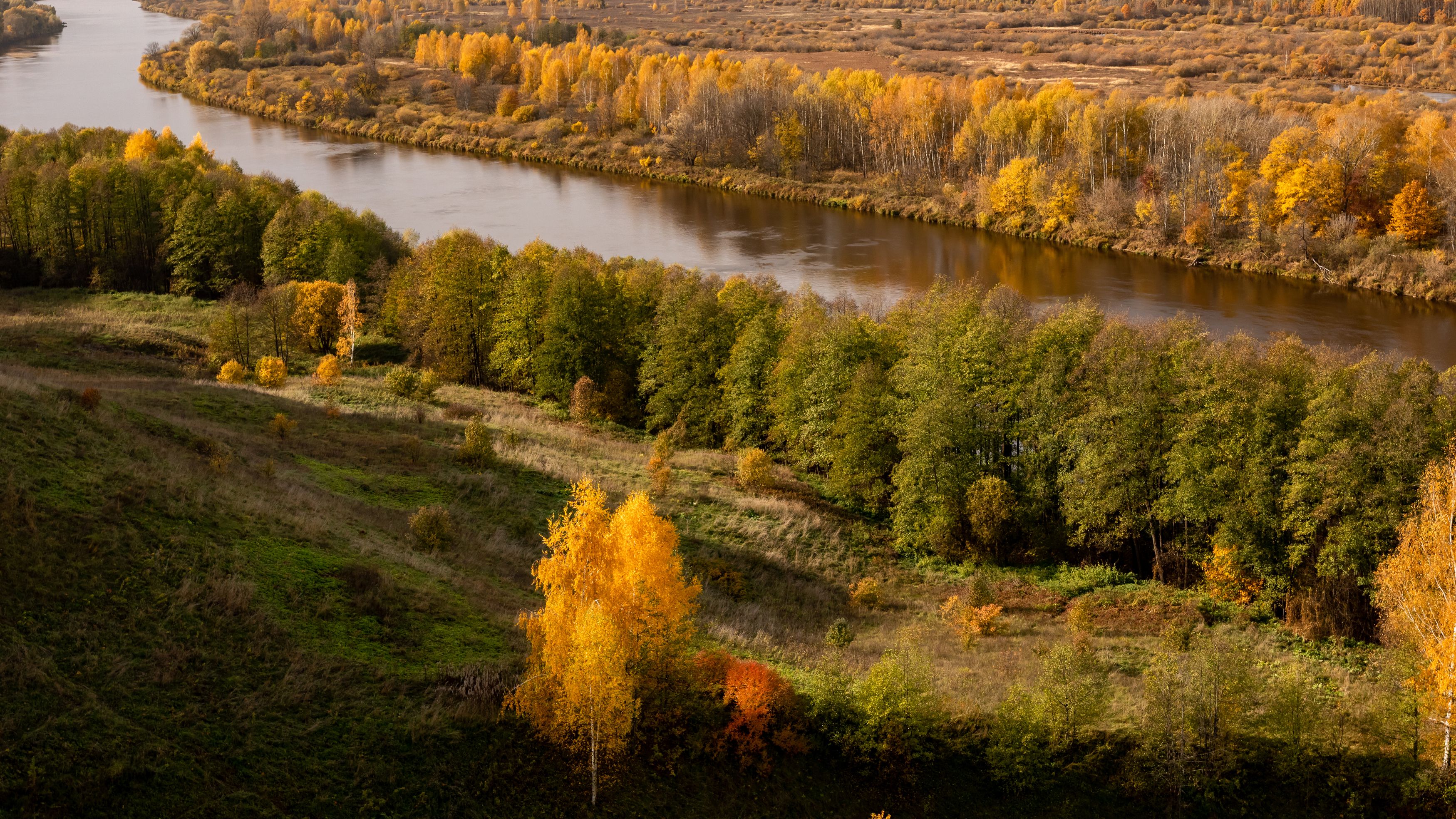 Photograph by Светлана Тараканова