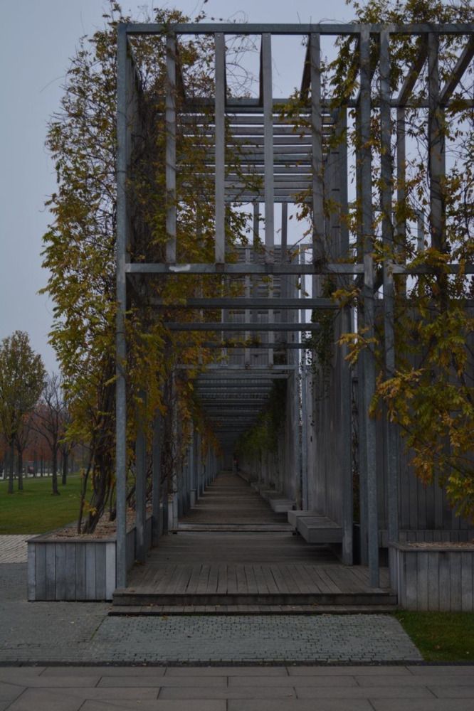 Photograph by Кристина Хавронова