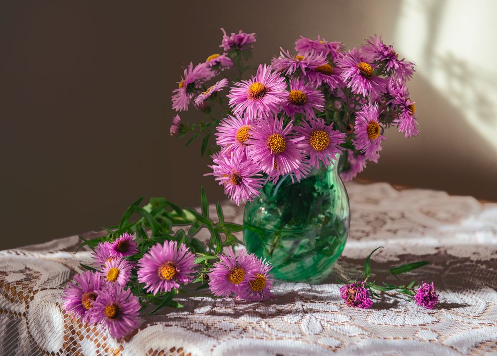 Photograph by Елена Зимняя