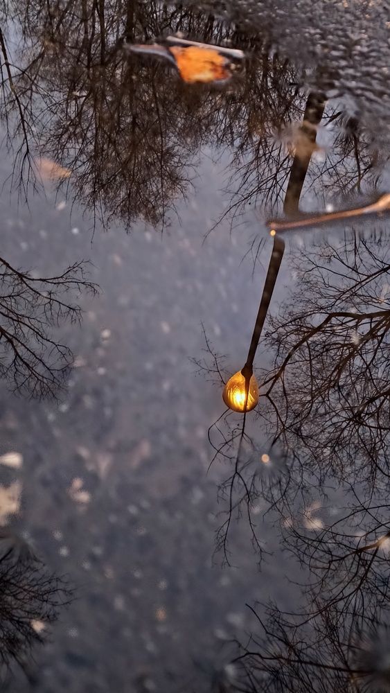 Photograph by Дарья Улюсова