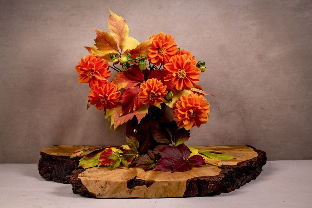 Photograph by Людмила Павловна