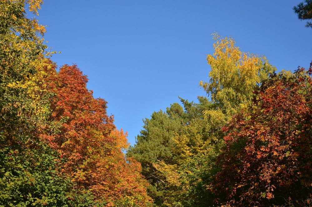 Photograph by Елена Савчук