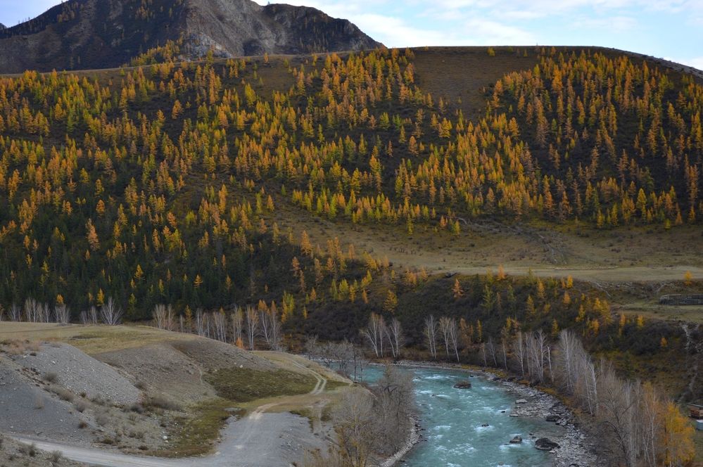 Photograph by Елена Савчук