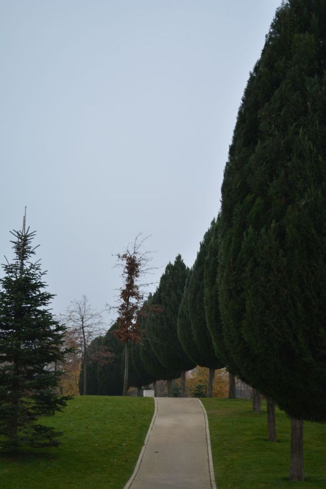 Photograph by Кристина Хавронова