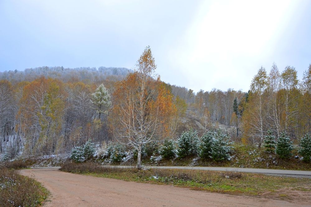 Photograph by Елена Савчук