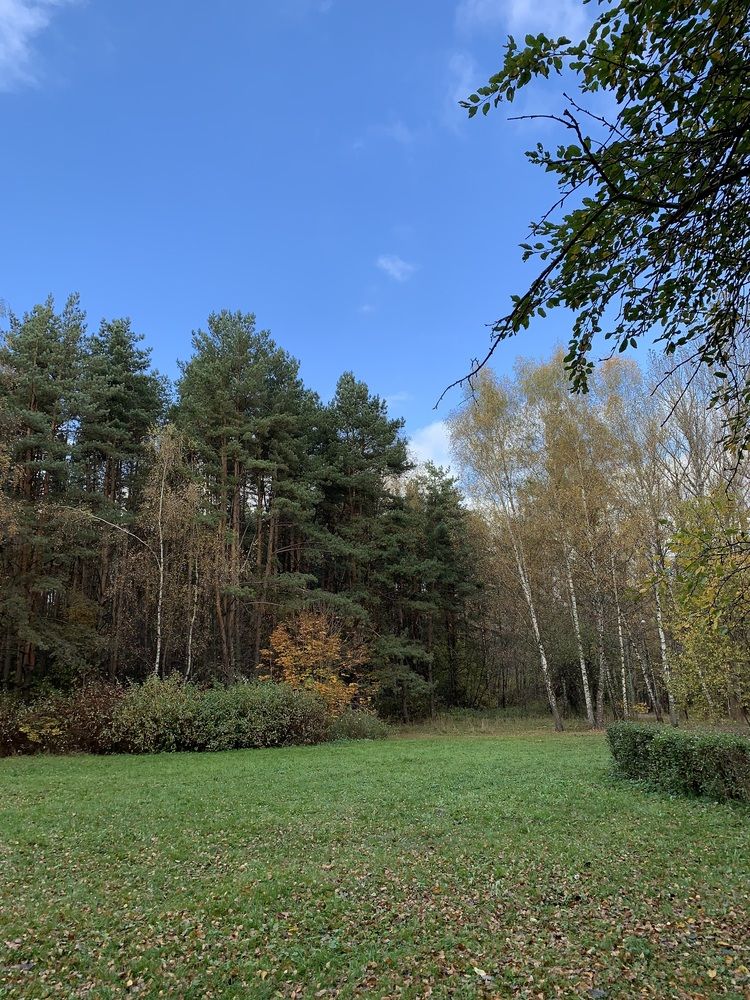 Photograph by Юлия Давшан
