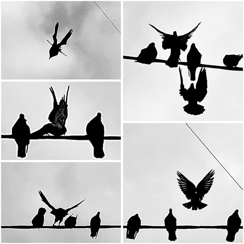 Photograph by Сюзанна