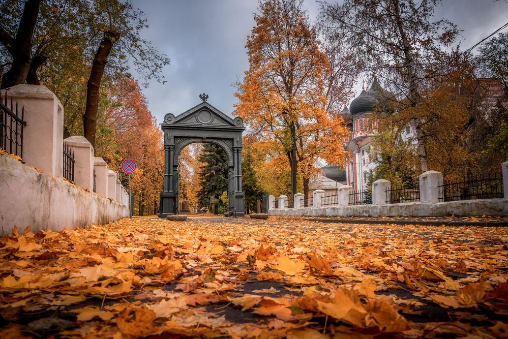 Фотография автора Сережин Сережа