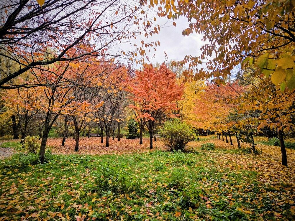 Photograph by Дарья Булавина