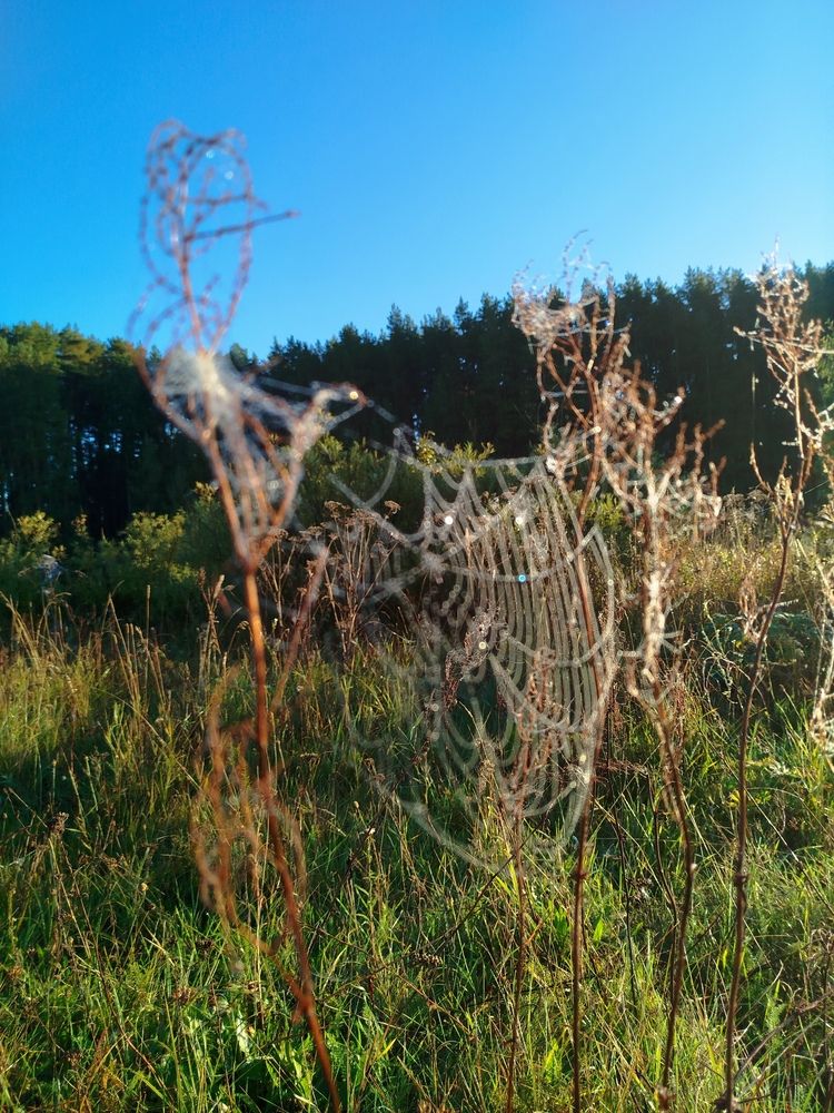 Photograph by Евгения Семёнова