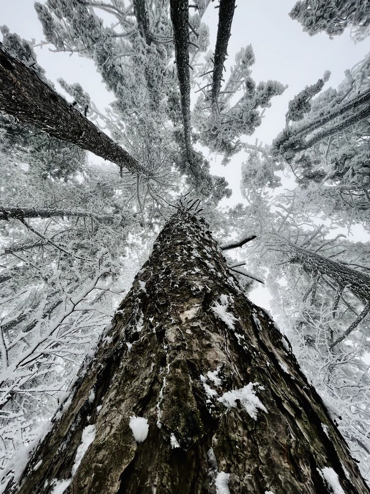 Фотография автора Katrina Koleva