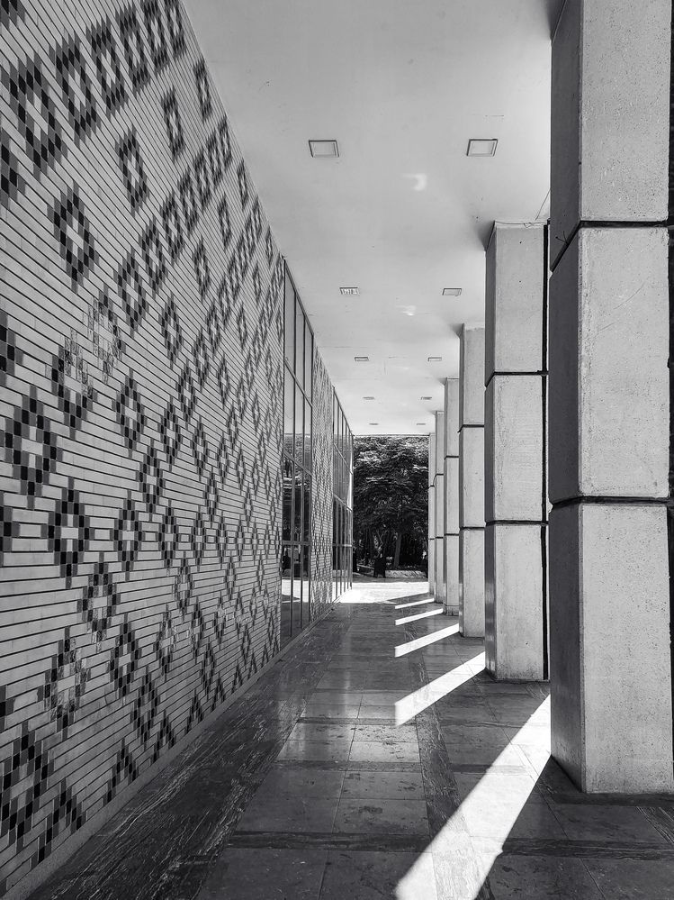 Photograph by Shafieh Sattari