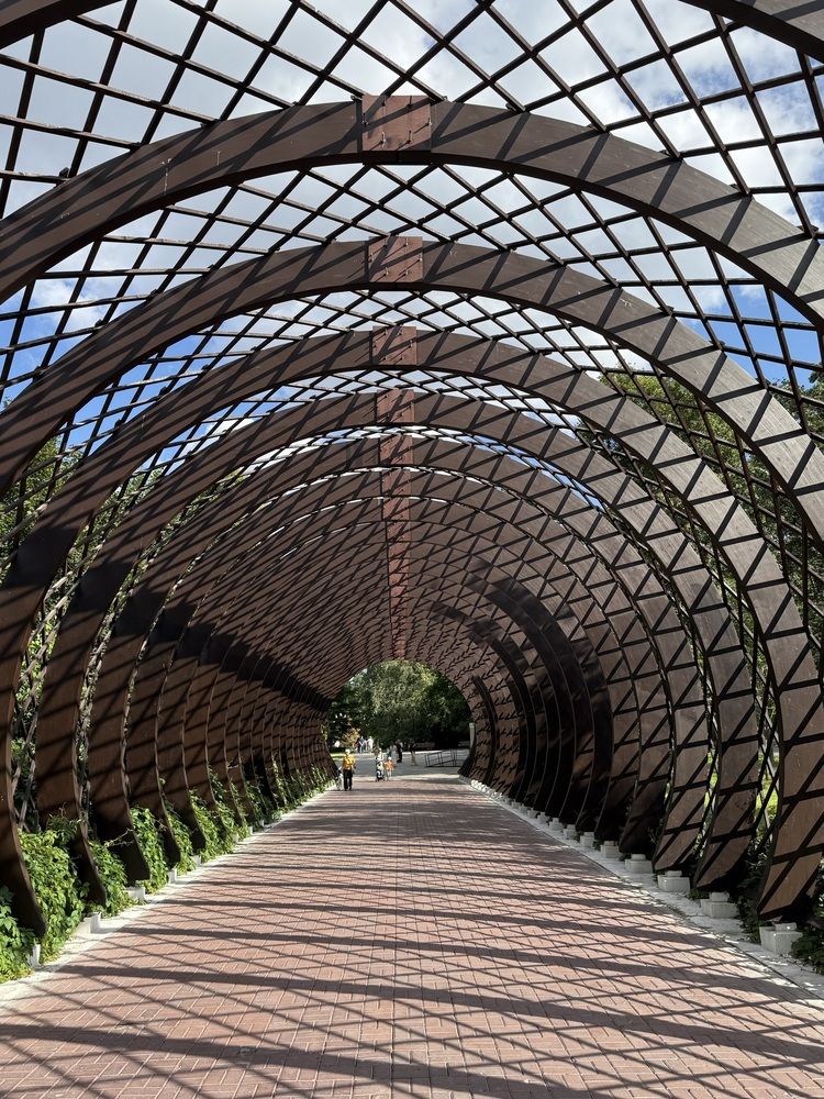 Photograph by Elena Edeleva