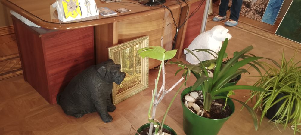 Фотография автора Клавдия Васильева