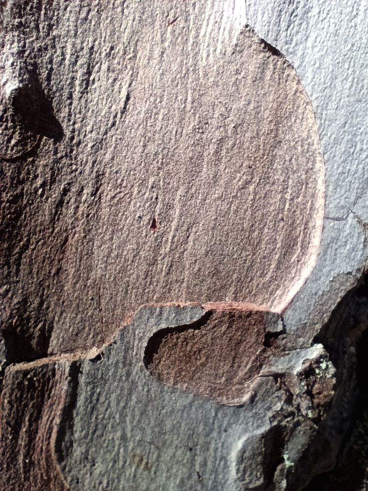 Photograph by Aleksey Aleshin