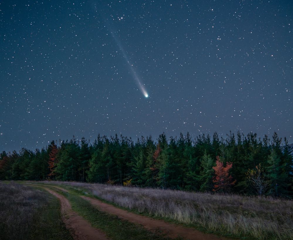 Comet C/2025 A6 (Lemmon)