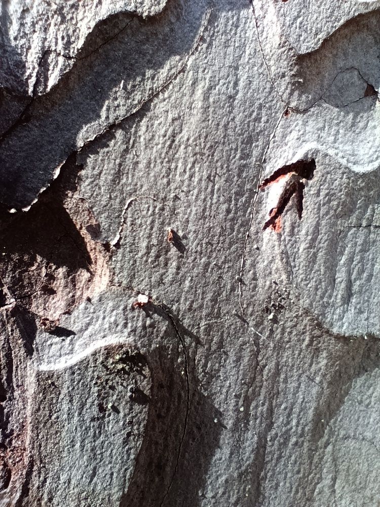 Photograph by Aleksey Aleshin