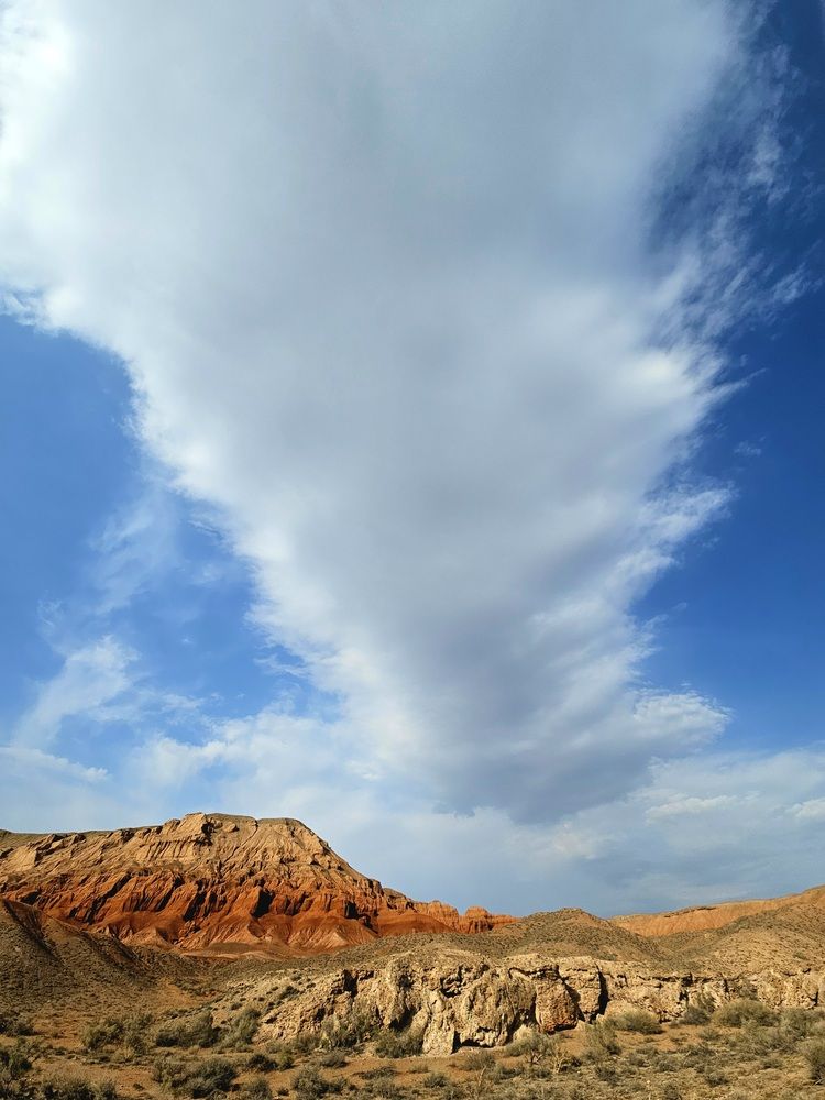 Photograph by Эльвира