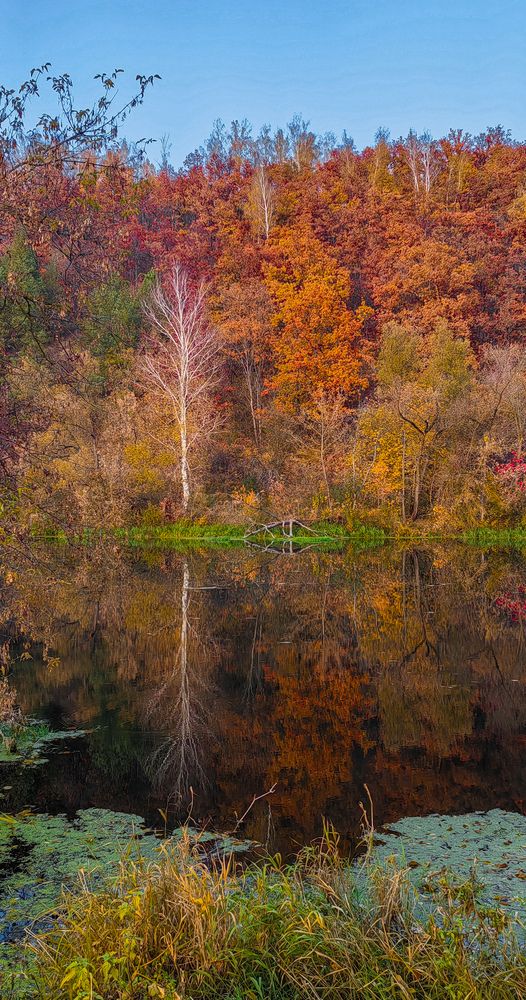 Photograph by Анастасия Семилетова