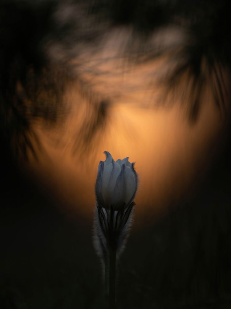 Photograph by Калиногорский Юрий