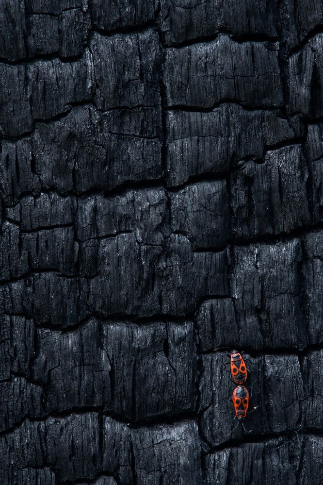 Photograph by Калиногорский Юрий