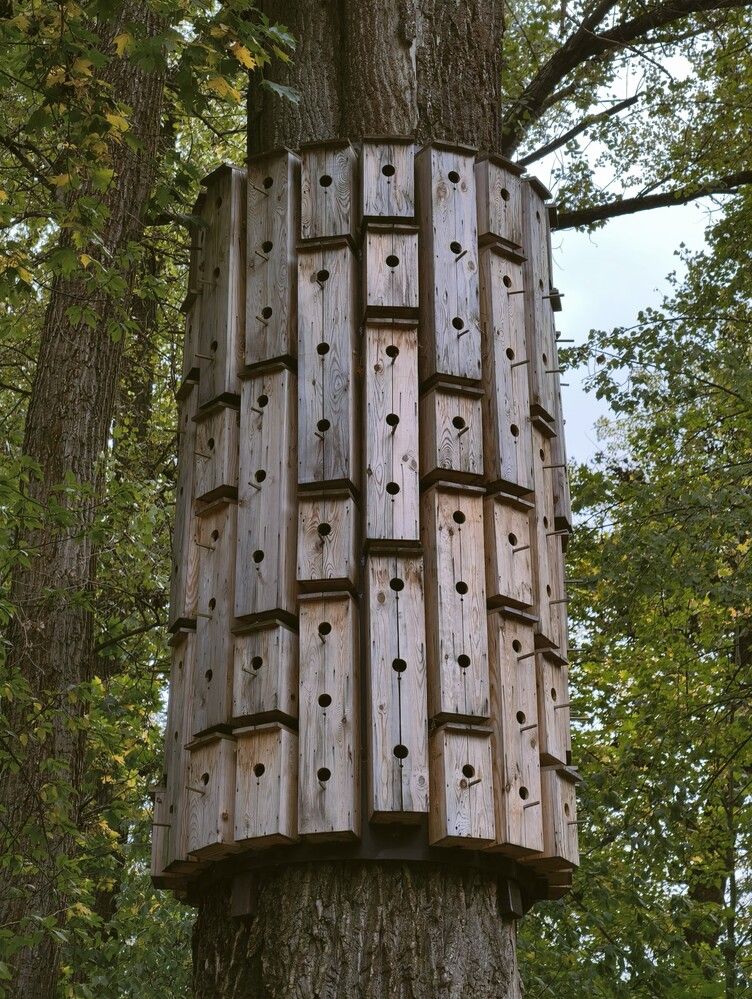 Photograph by Галина Бессуднова