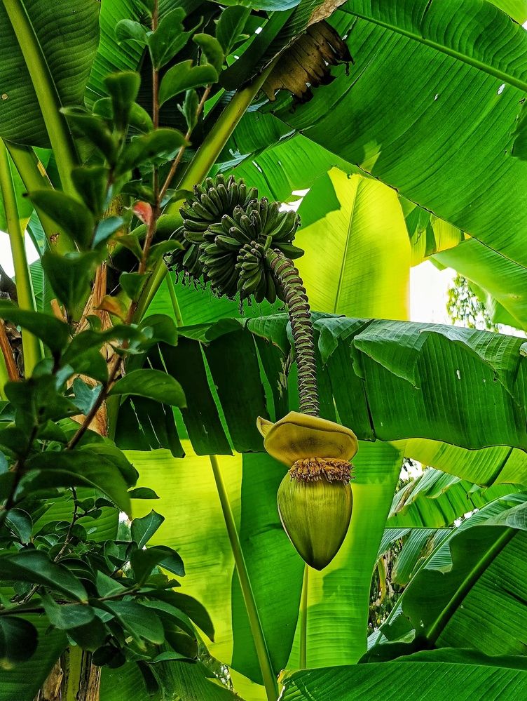 Photograph by Оксана Радзиевская