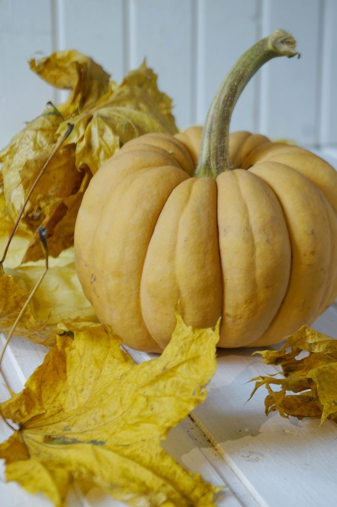 Photograph by Наталья Растопчина