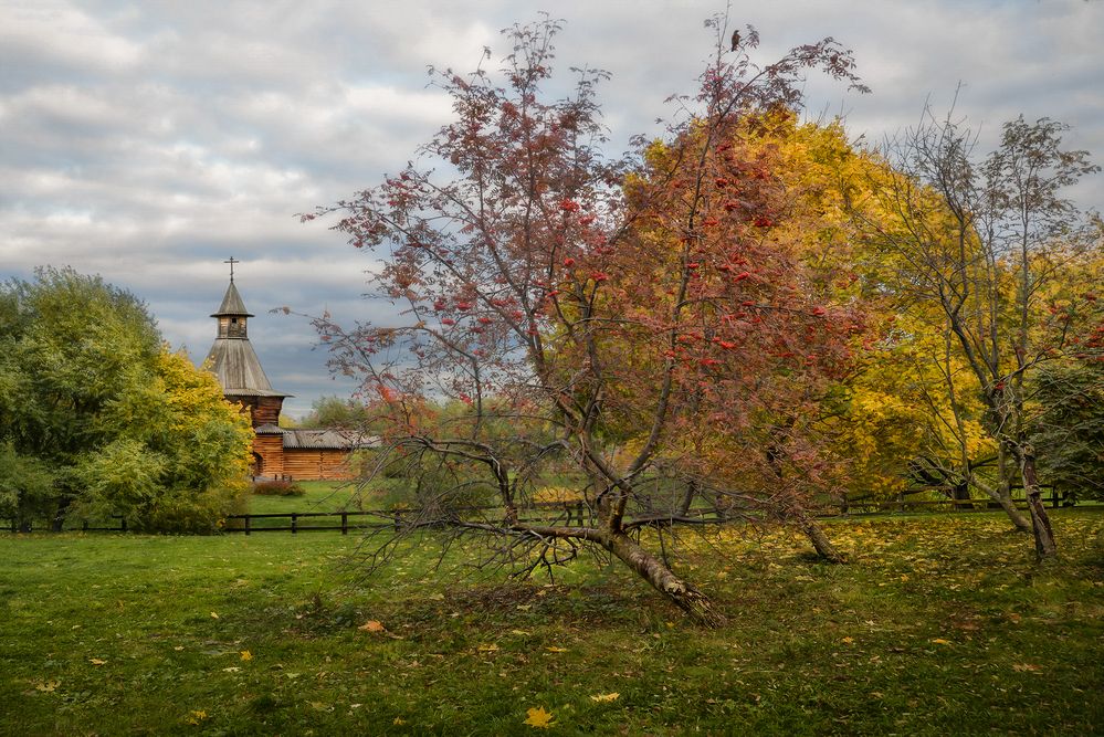 Photograph by Марина Ческис
