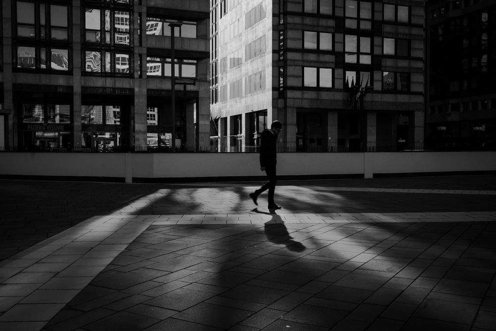 Photo #12708185
