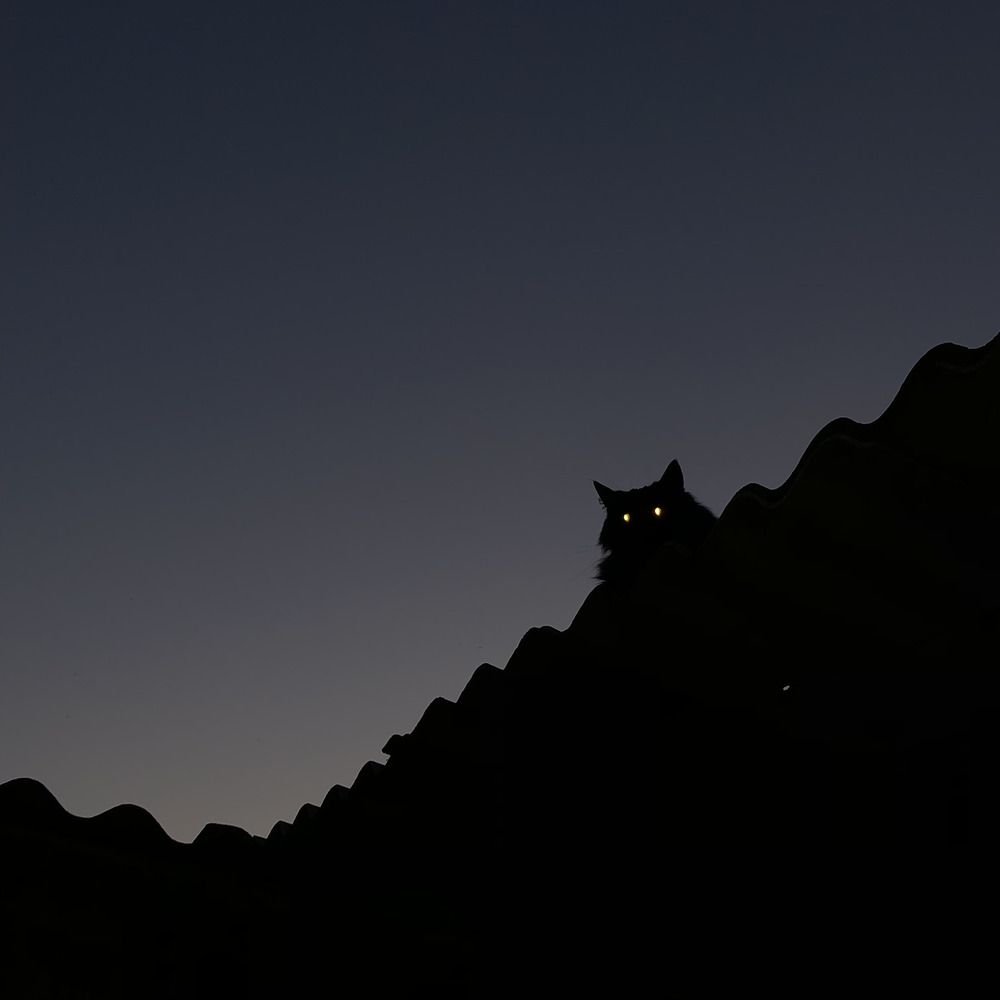 Photograph by Анастасия Кобелева